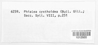 Crocicreas cyathoideum image